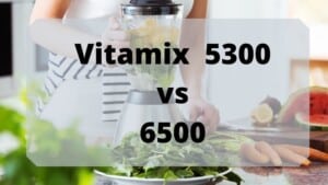 vitamix 5300 vs 6500