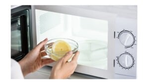 quietest microwaves