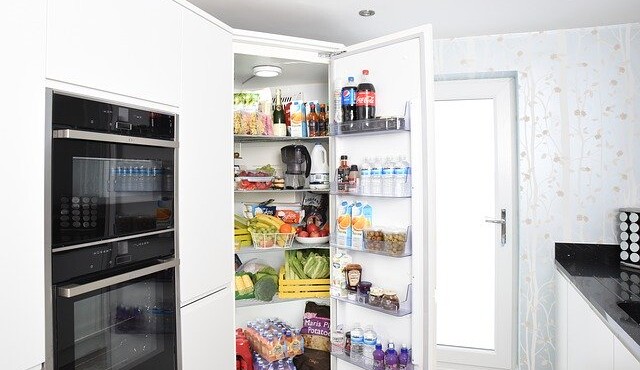 comparison between fridge and refrigerator