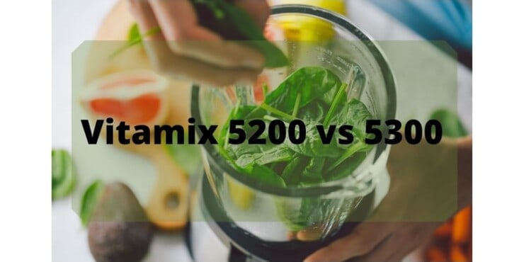 comparing vitamix 5200 and 5300